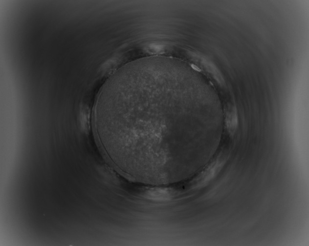 X0000100780332200806191308