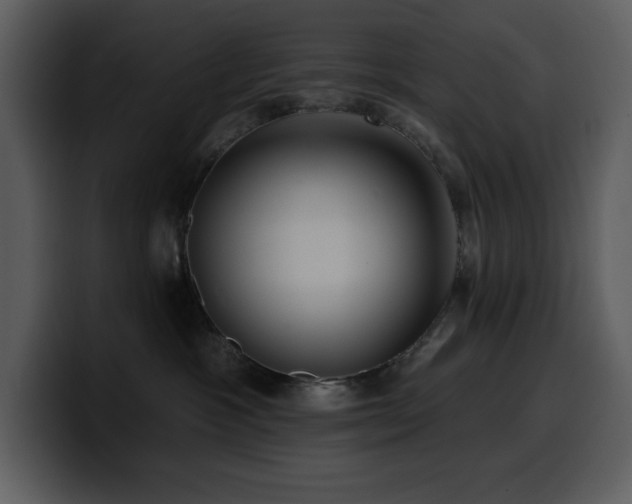 X0000100780333200806191308