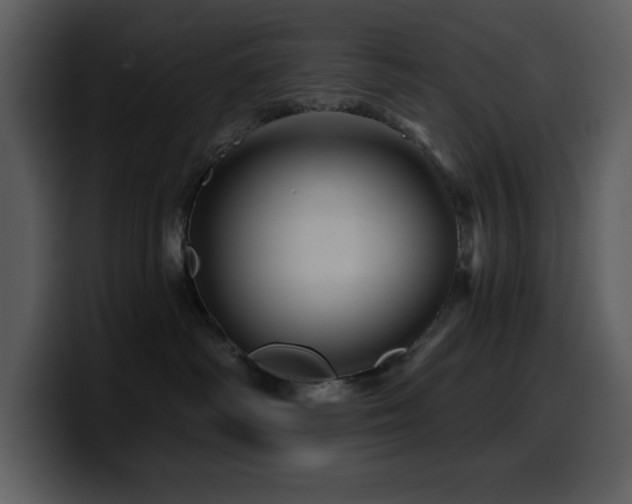 X0000100780334200806191308