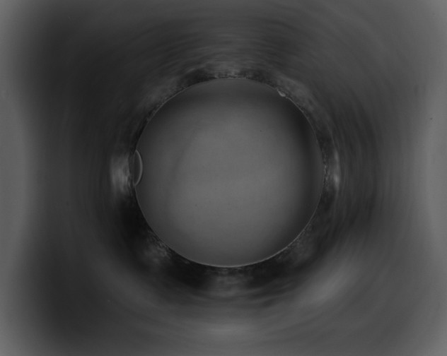 X0000100780335200806191308