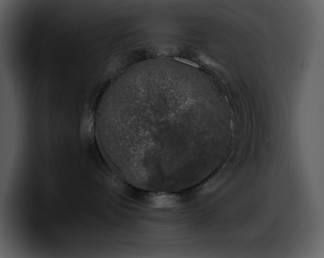 X0000100780336200806191308