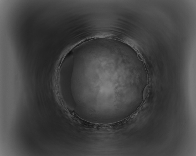 X0000100780337200806191307