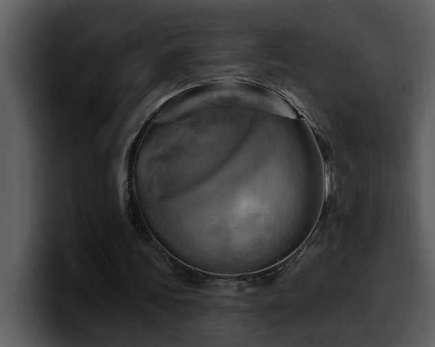 X0000100780339200806191307