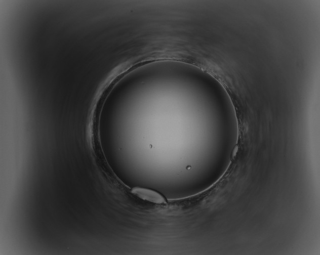 X0000100780340200806191307