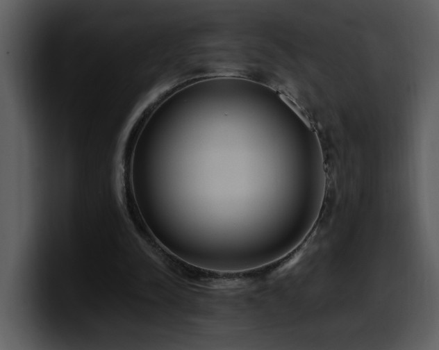 X0000100780342200806191307