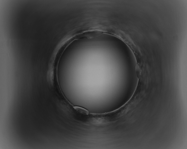 X0000100780344200806191307