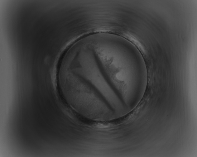 X0000100780346200806191307