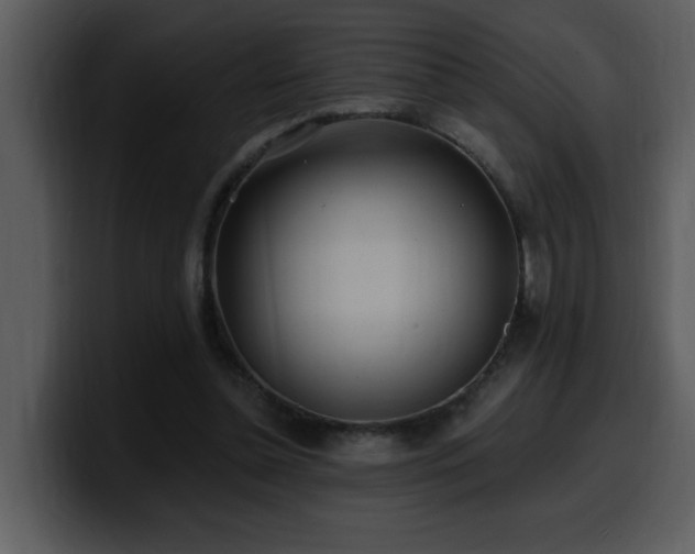 X0000100780348200806191307