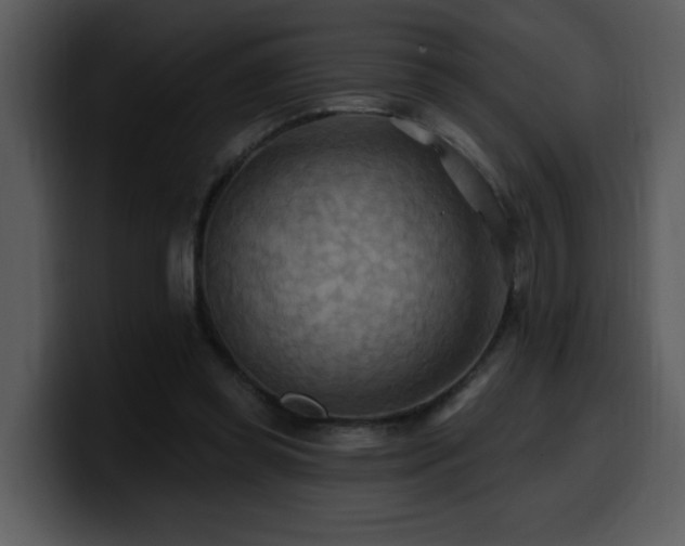 X0000100780349200806191307