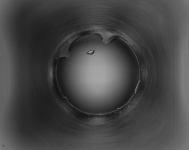 X0000100780350200806191307