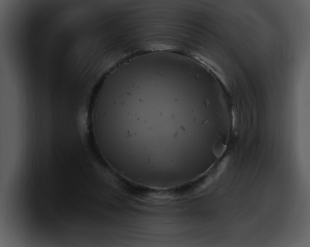 X0000100780351200806191307