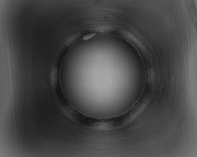 X0000100780356200806191307