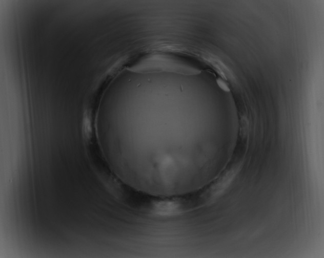 X0000100780358200806191307