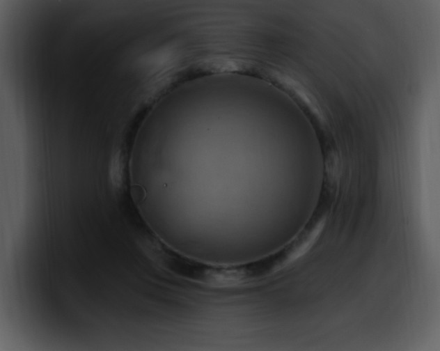 X0000100780359200806191307