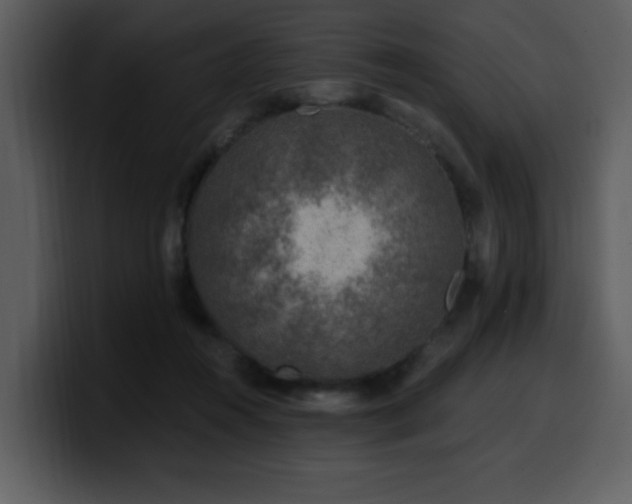 X0000100780360200806191307