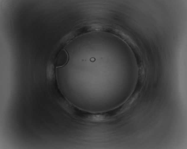 X0000100780361200806191307