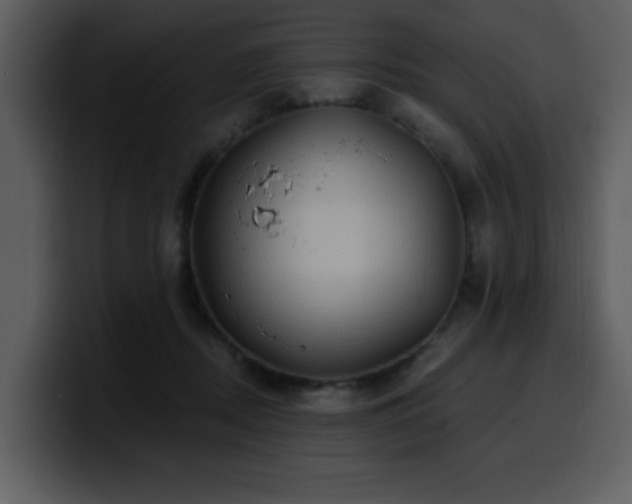 X0000100780362200806191307