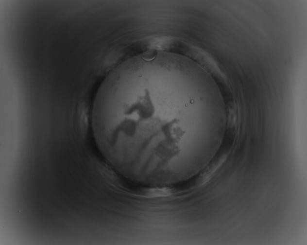 X0000100780363200806191307