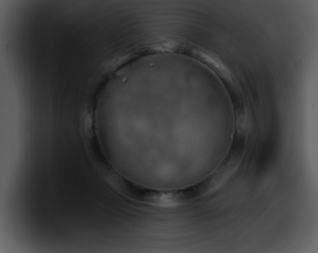 X0000100780365200806191307