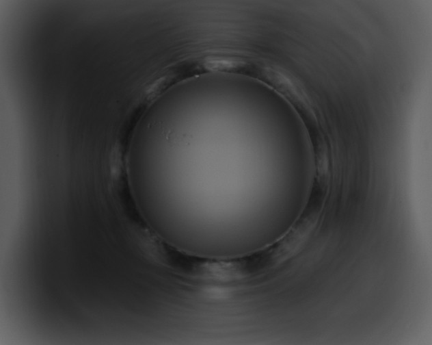 X0000100780367200806191307