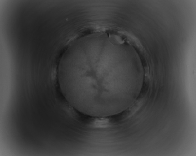 X0000100780369200806191307