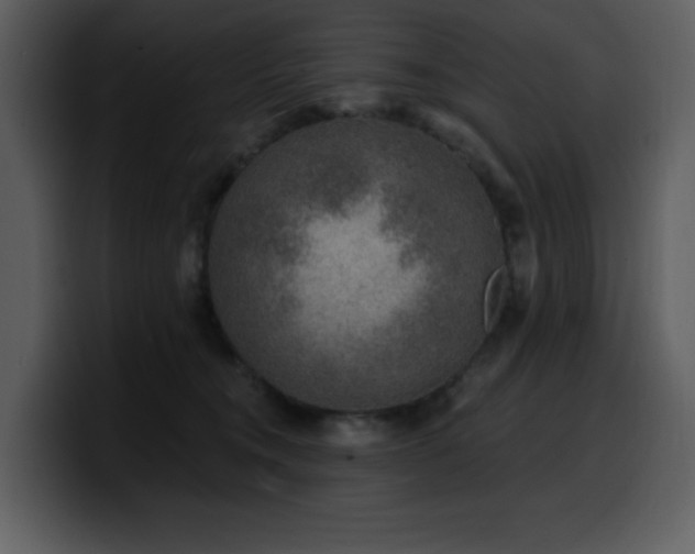 X0000100780372200806191307