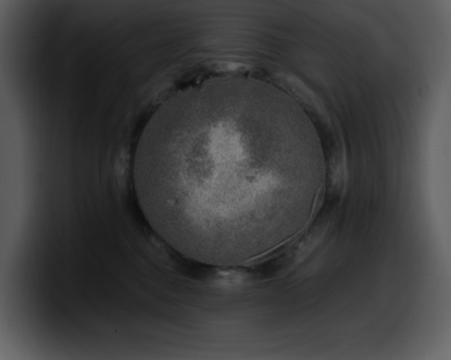 X0000100780376200806191308