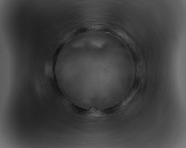 X0000100780377200806191308