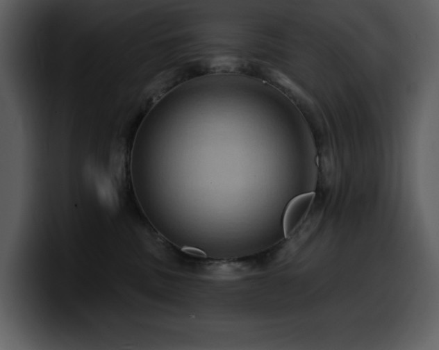 X0000100780379200806191308