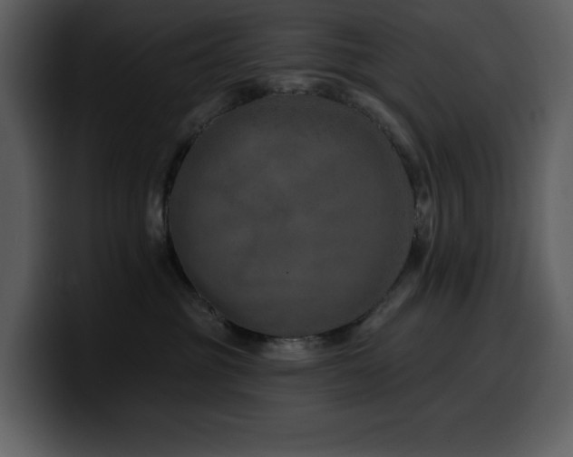 X0000100780381200806191308