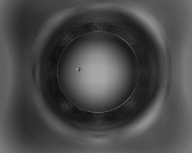 X0000100780382200806191308