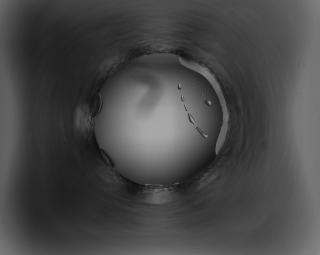 X0000100780384200806191308