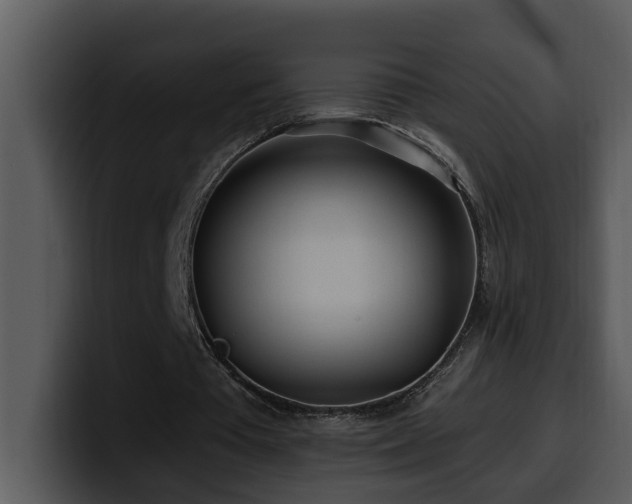 X0000100780385200806191307