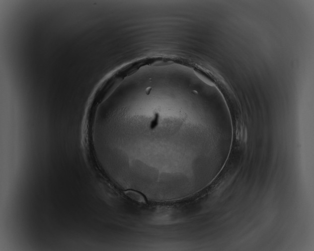 X0000100780388200806191307