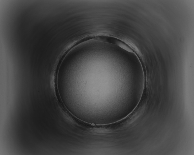 X0000100780389200806191307