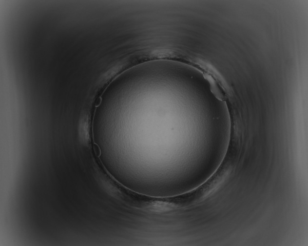 X0000100780393200806191307