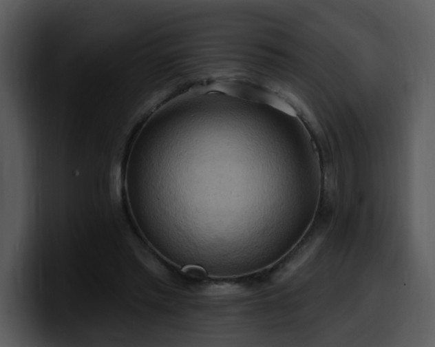 X0000100780397200806191307