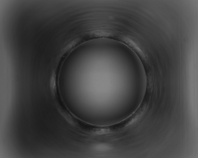 X0000100780398200806191307