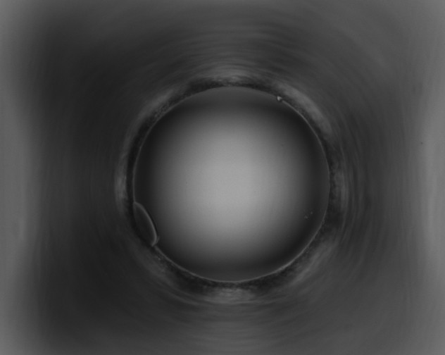 X0000100780399200806191307