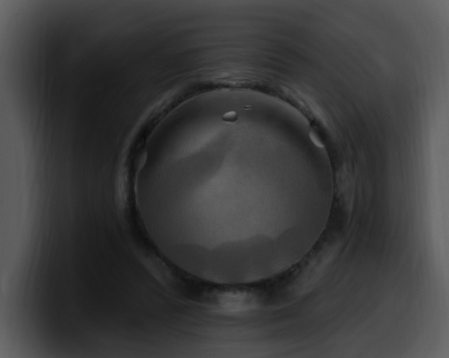 X0000100780400200806191307