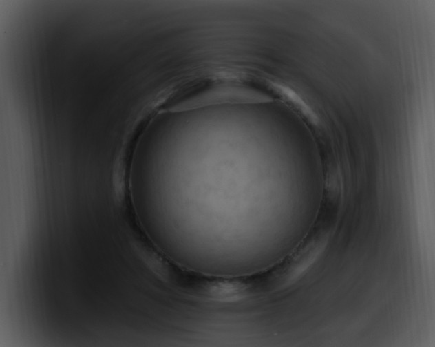 X0000100780402200806191307