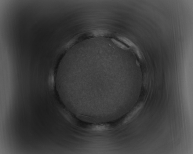 X0000100780405200806191307