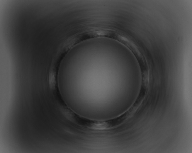 X0000100780410200806191307