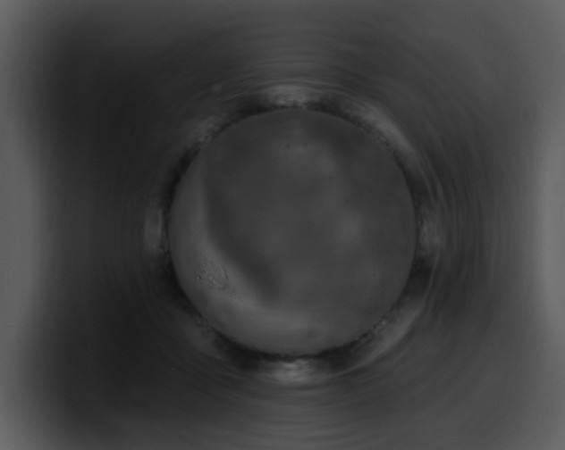 X0000100780411200806191307