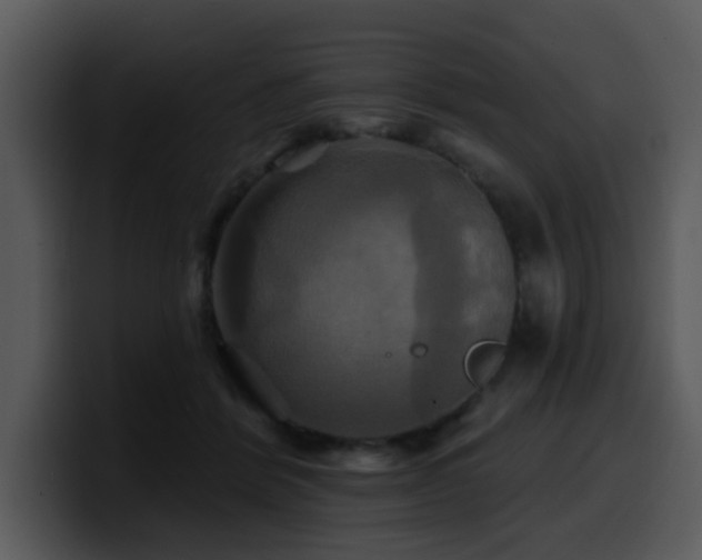 X0000100780412200806191307