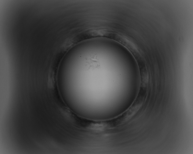 X0000100780414200806191307