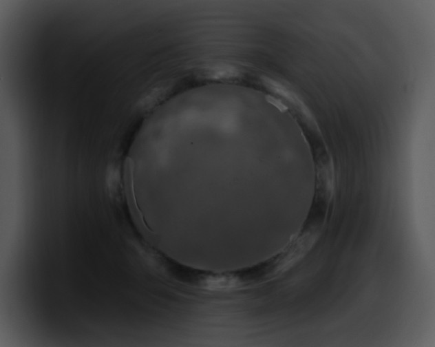 X0000100780415200806191307