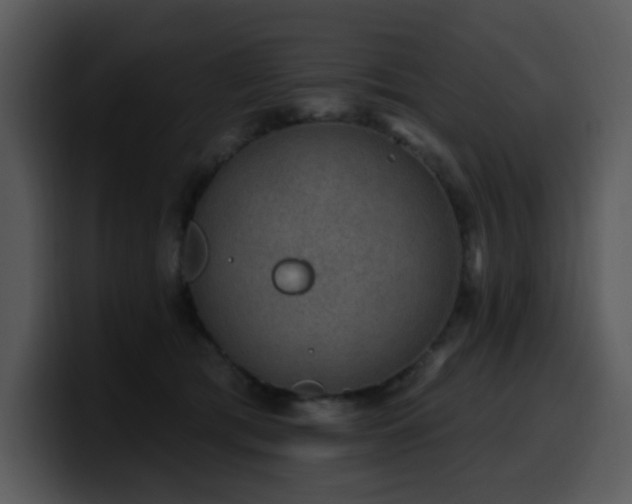 X0000100780417200806191307