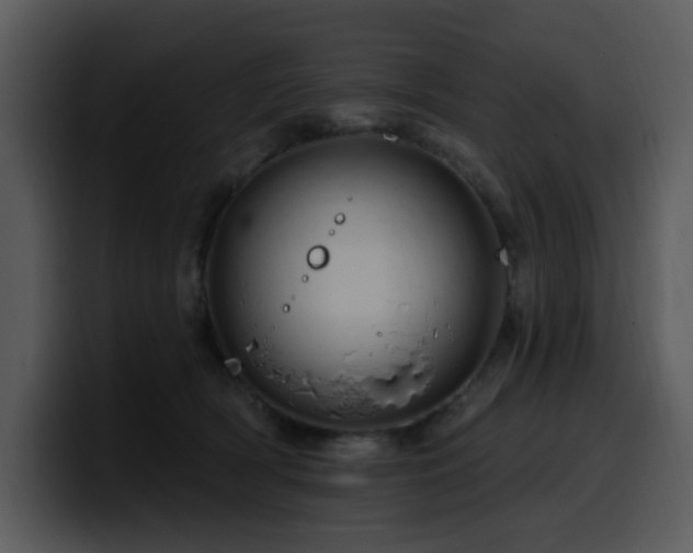 X0000100780418200806191307