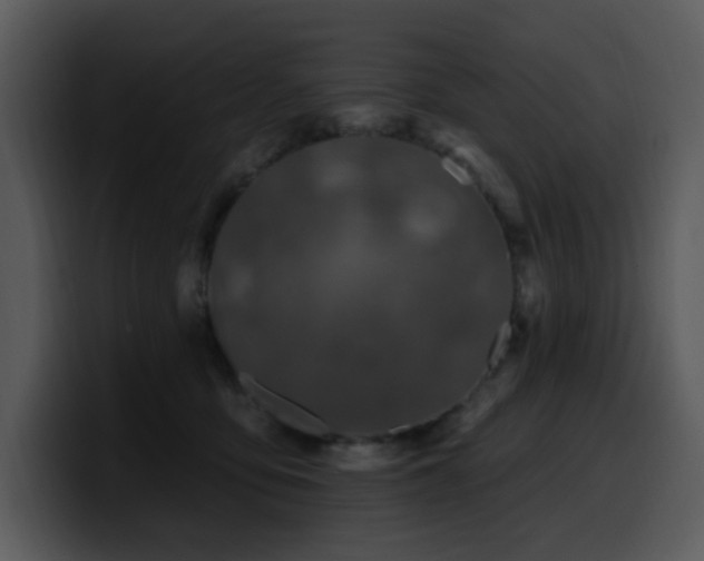 X0000100780419200806191307